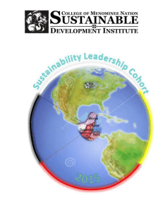 About the Sustainability Leadership Cohort Program