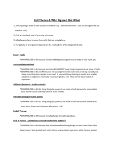 Cell Theory Summary