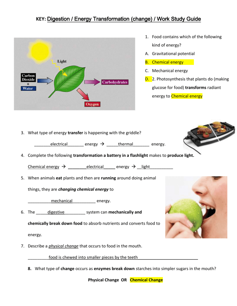 Key to Study Guide: Digestion, Energy Transformation and Work Regarding Energy Transformation Worksheet Answer Key