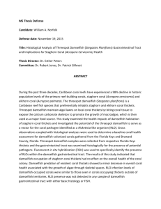 Gastrointestinal Tract and Implications for Staghorn Coral