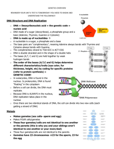 GENETICS OVERVIEW Test Review WU