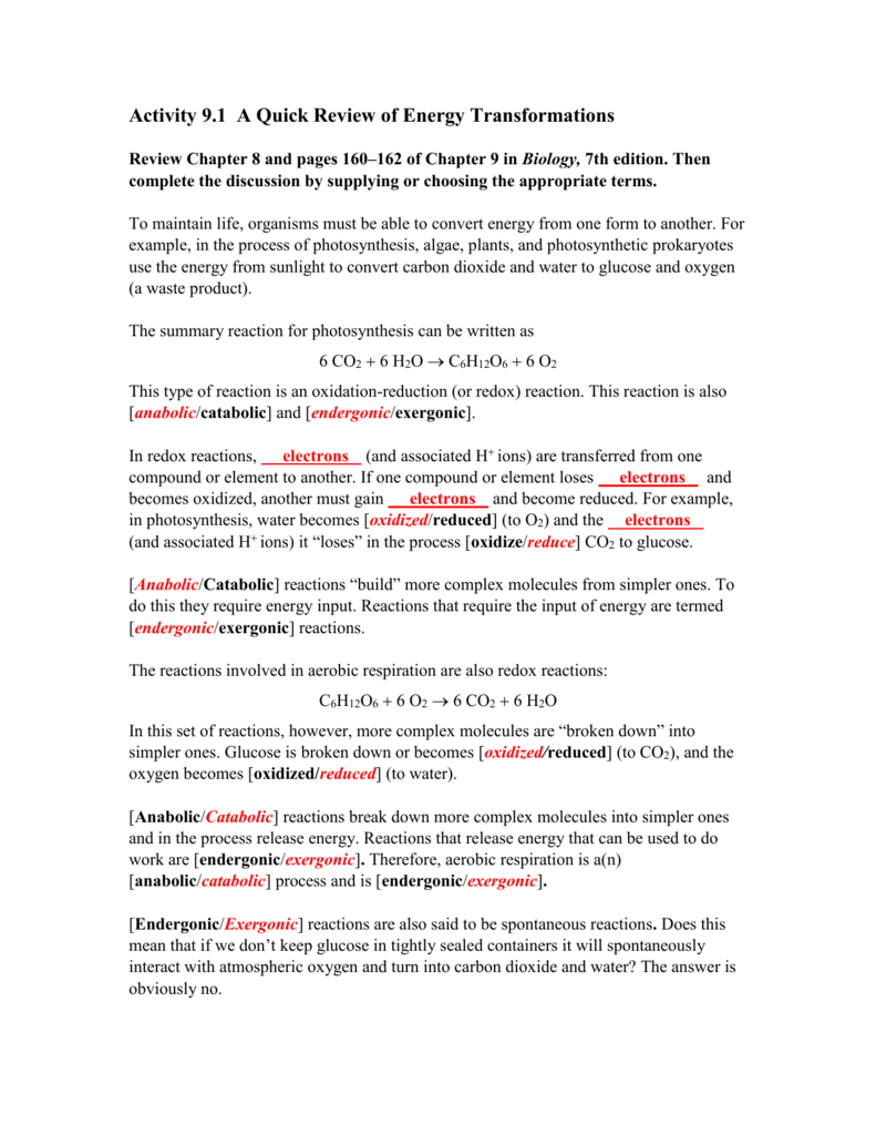 Energy transformations homework picture