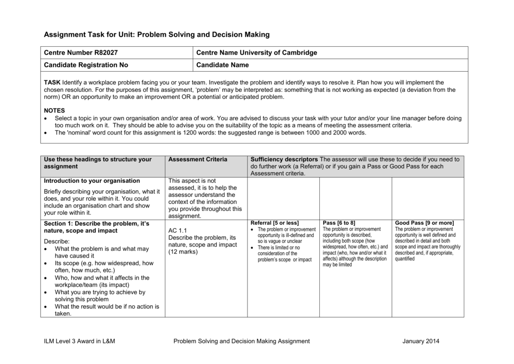 problem solving and decision making assignment