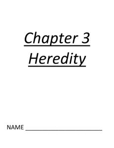 Chapter 3 Heredity