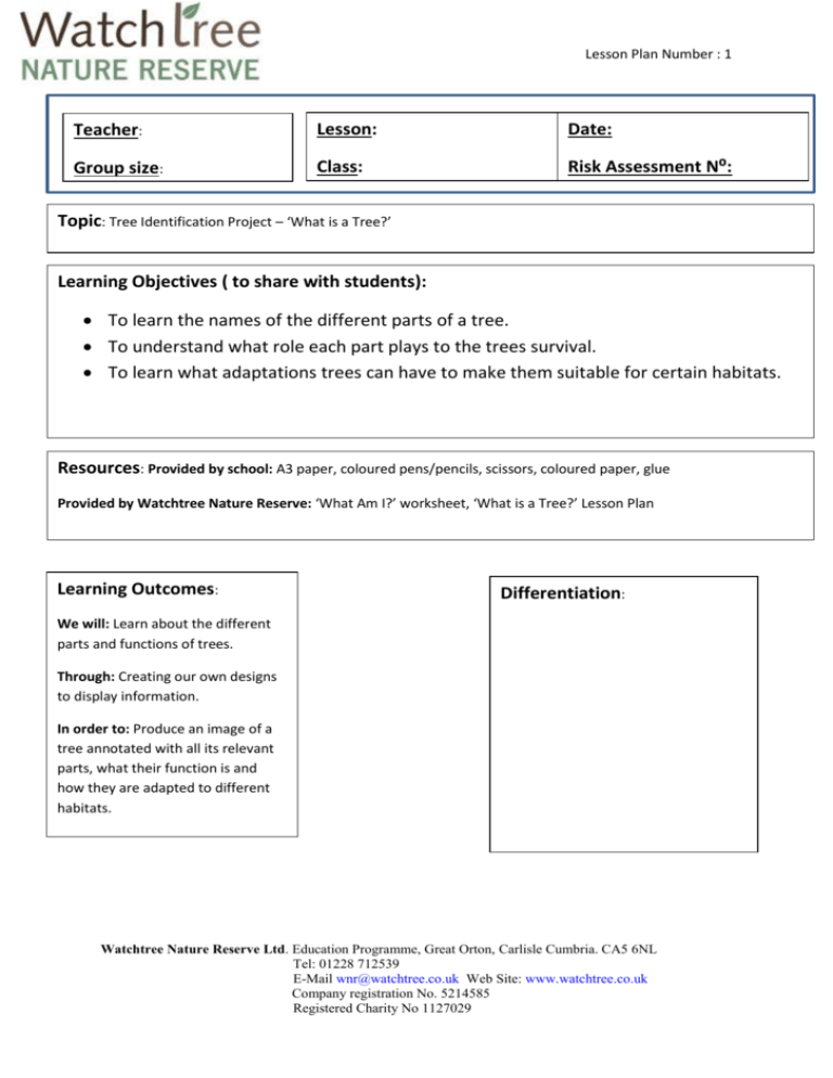 What Is A Tree Lesson Plan