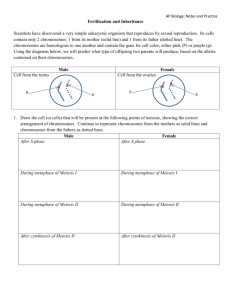 Fertilization and Inheritance