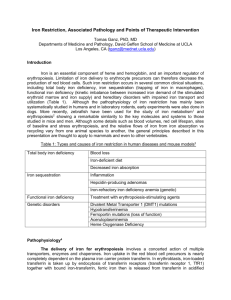 Iron Restriction, Associated Pathology, and Points of Therapeutic