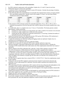 Nucleic Acids and Proteins Questions