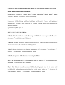 The mitochondrial genomes of plant pathogenic