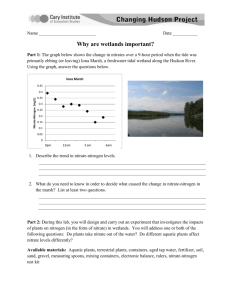 Nitrates Worksheet - Cary Institute of Ecosystem Studies
