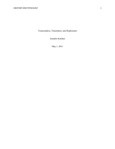 Transcription, Translation, and Replication