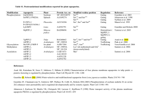 Table S1. Posttranslational modifications reported for plant