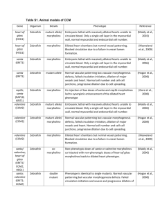 Table S1. Animal models of CCM Gene Organism Details