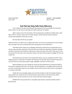 Eat Fish but Stay Safe from Mercury