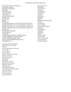 Chromosomes _ Human Inheritance _Key Terms