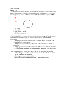 Exam 2 Review