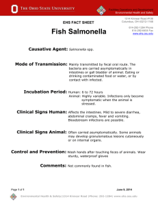 Fish Salmonella Fact Sheet