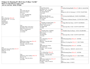 Pedigree for Running B`s Fantastic Miss *Molly*