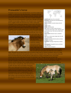 Scientific name: Equus ferus przewalskii. Distribution: Restricted to