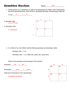 Genetics Review Answers