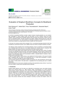 Evaluation of Sorghum Biorefinery Concepts for Bioethanol