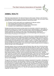 animal health - Deer Industry Association of Australia