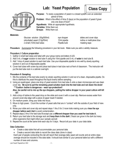 Yeast Population Lab