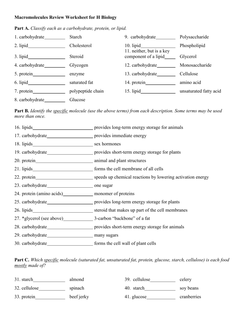 Macromolecules Worksheet #4 Throughout Macromolecules  Worksheet Answer Key