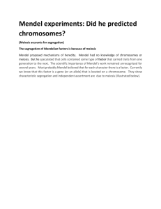 Cell division Chromosomal theory Morgans