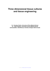 Three dimensional tissue cultures and tissue engineering