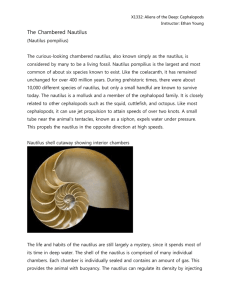 Background on the Nautilus