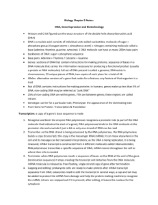 biology_chapter_5_notes