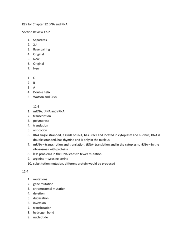 Key For Chapter 12 Dna And Rna Section Review 12