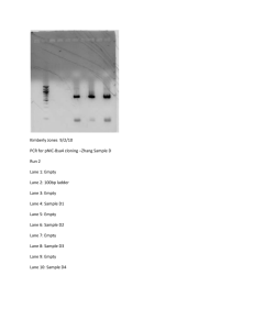 KRJ_9/2/10 pNIC cloning gel