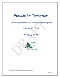 FFT Strategic Plan Draft V3.3 - Ministry of Forests, Lands and