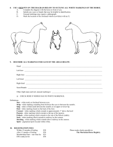 registration application - Moriesian Horse Registry