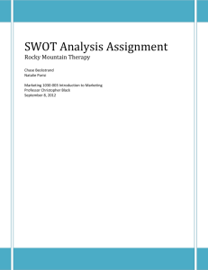 SWOT Analysis Assignment - Natalie`s Portfolio