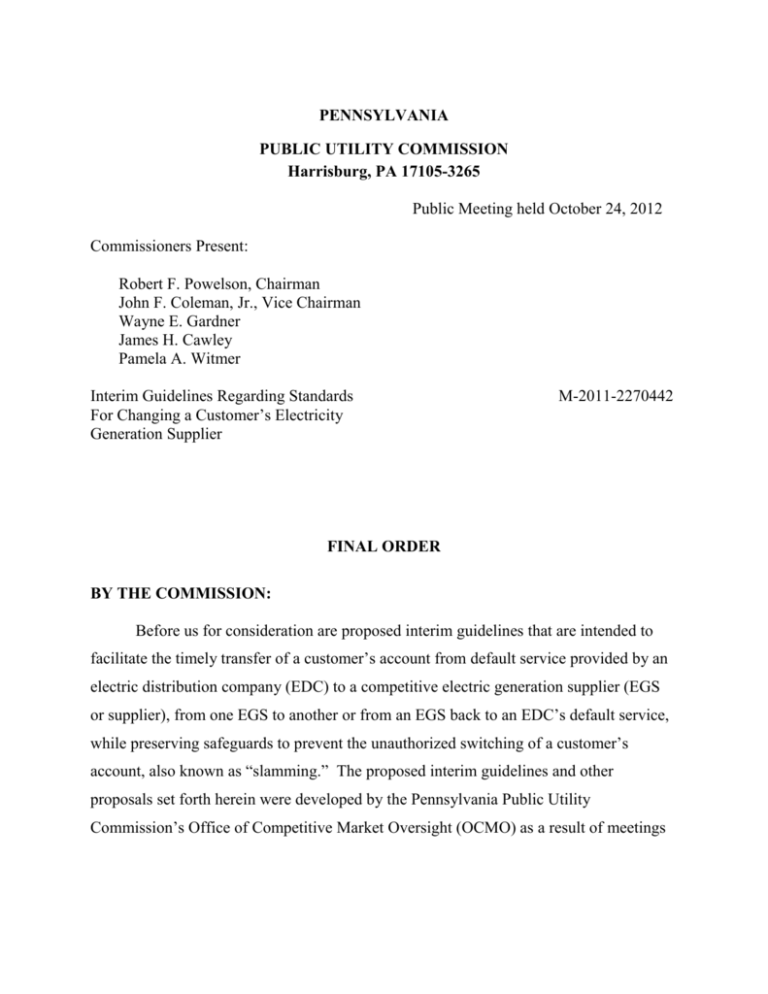 Final Order On Interim Guidelines Regarding Standards For