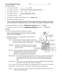 Enzyme and Digestion Homework Key
