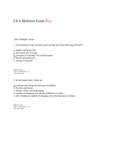 Ch 6 Skeleton Exam Key Part I Multiple Choice 1. The functions of