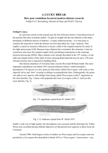 A lucky break. How past vandalism favoured - Microscopy-UK