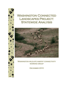2010DEC 2 WHCWG Statewide Report COMPRESSED