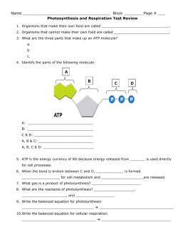 Biology Unit 2 Exam Study Guide