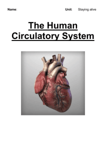 The Human Circulatory System Work Book