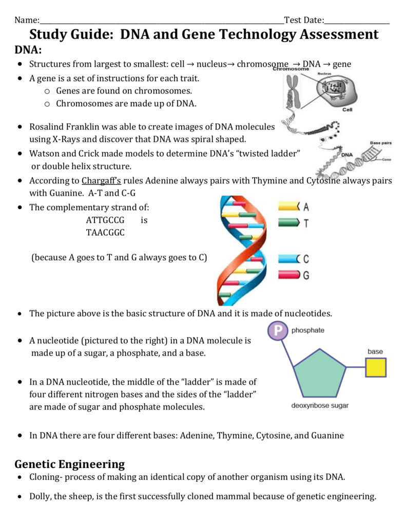 Study Guide For Ls