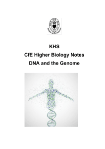 H Bio DNA and the Genome notes
