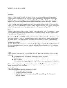 OVERACTIVE BLADDER (OAB) Overview In people with an