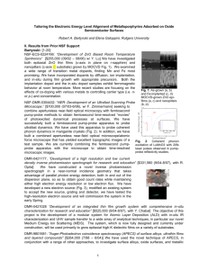 NSF_DMR_Elena_combin.. - Department of Physics and Astronomy