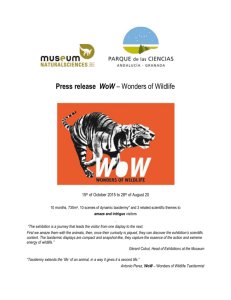 Press release WoW - Royal Belgian Institute of Natural Sciences