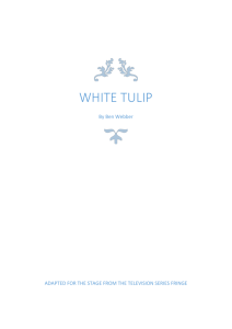 White Tulip - WordPress.com